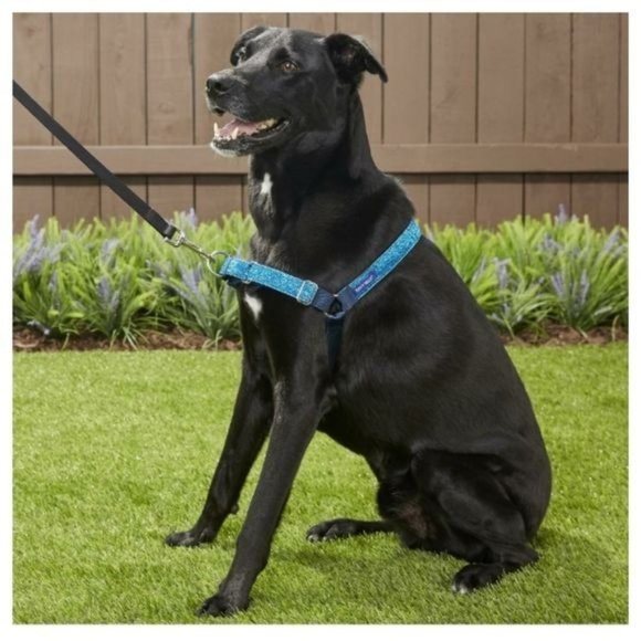 Petsafe Dog Harness Easy Walk No Pull Blue Bling Large Breeds - Picture 10 of 14